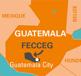 fecceg guatemala