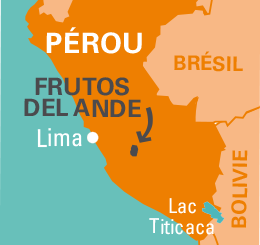 carte frutos del andes