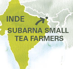 carte thé subarna