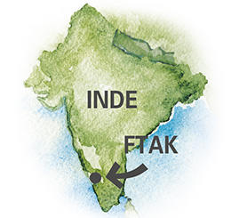 ftak kerala inde
