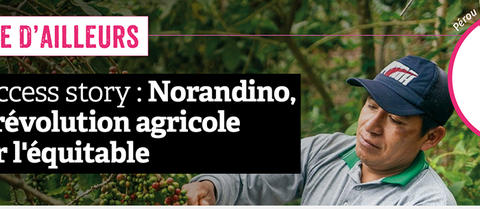 aventure ethiquable norandino grain de sel