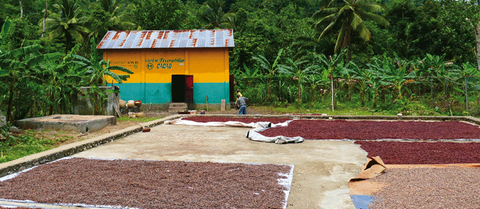 dossier de presse cacao ethiquableæ