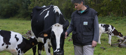 Lait bio quels critères derrière le cahier des charges bio ?