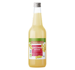concentré de fruit ethiquable Gingembre Intense bio equitable