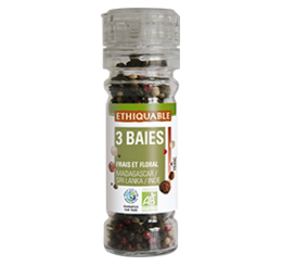 3 baies ethoqiable bio équitable