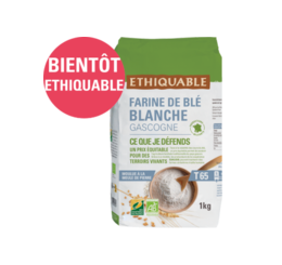 farine de blé blanche Gascogne ethiquable équitable bio france 