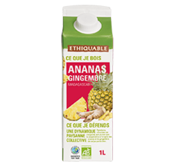 pur jus ananas gingembre ethiquable bio équitable