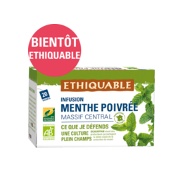 Infusion Menthe poivrée Massif Central ethiquable équitable bio france 