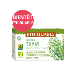Infusion Thym Massif Central ethiquable équitable bio france 