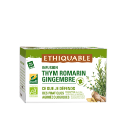 Infusion Thym, Romarin, Menthe et Gingembre