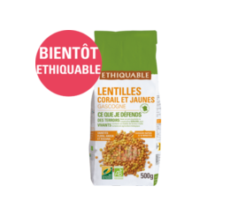 Lentilles corail jaunes Gascogne ethiquable équitable bio france 