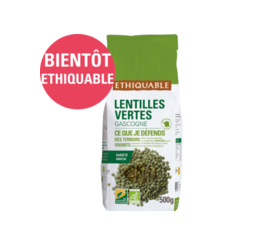 Lentilles vertes Gascogne ethiquable équitable bio france 