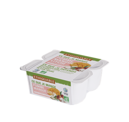 Pomme Mangue Litchi purée de fruits ethiquable bio équitable