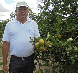 coopéalnor brésil orange Ethiquable bio équitable