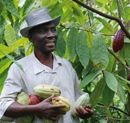 Feccano Commerce Equitable En Haiti Cacao Ethiquable