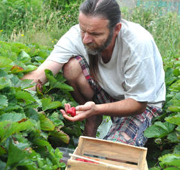 producteur fraises commerce équitable