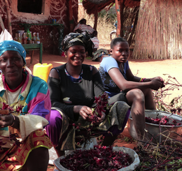 coopake ethiquable burkina hibiscus