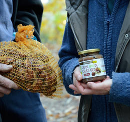 Castanéiculteurs bio équitable ardèche