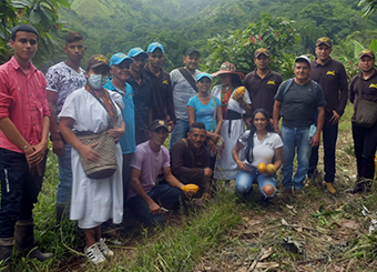 anei cacao ethiquable colombie