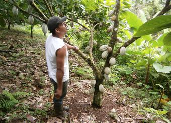 campesina nicaragua ethiquable