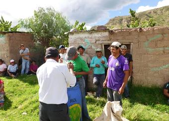 frutos del andes