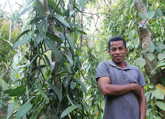 poivre sauvage bio madagascar ethiquable