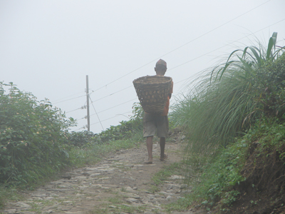 thé darjeeling potong ethiquable