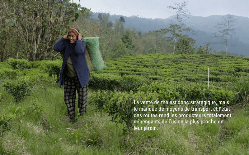 THE-COMMERCE-EQUITABLE NEPAL