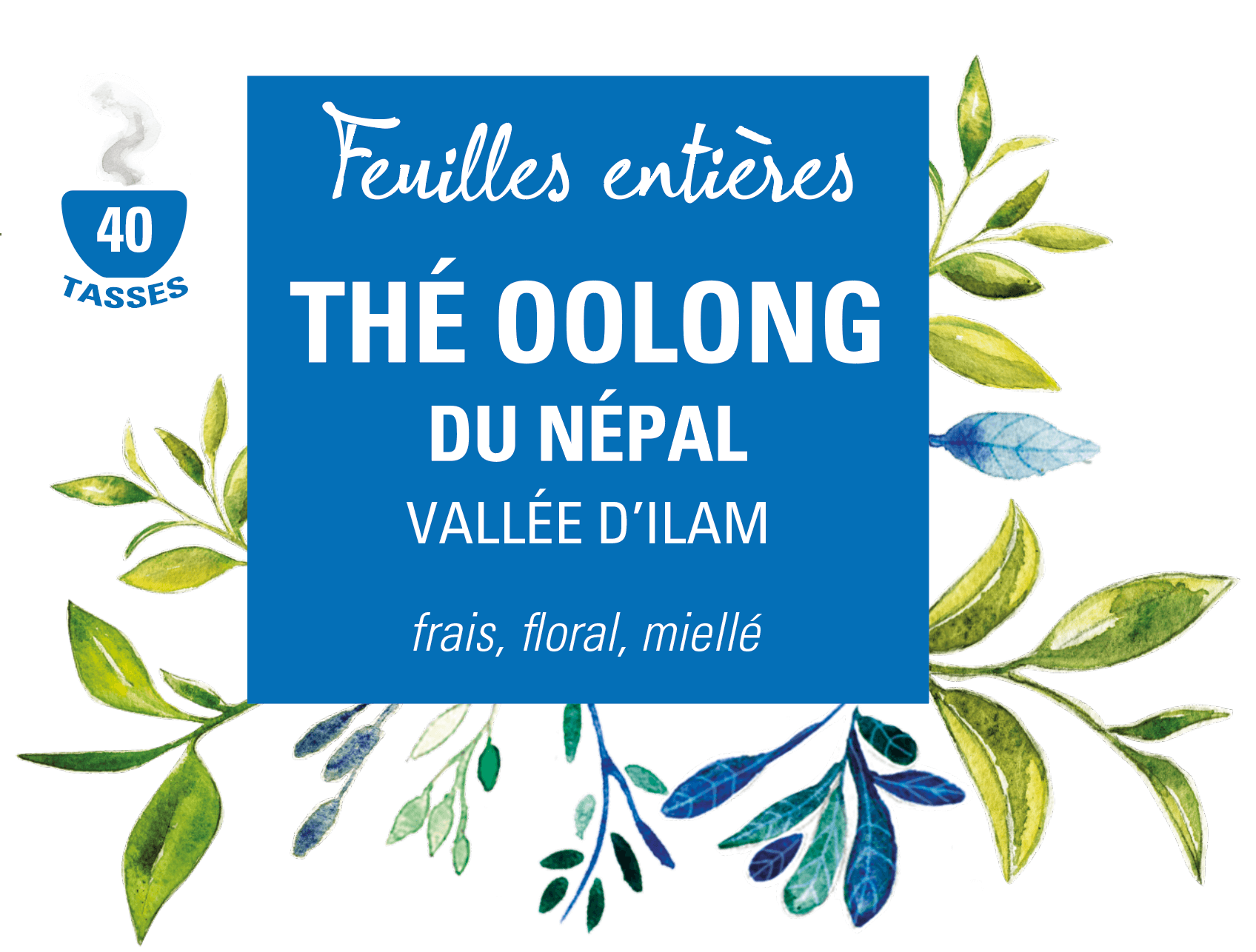 thé oolong ethiquable bio équitable