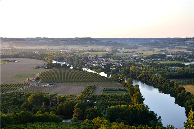 uff pruneaux d'agen paysans d'ici bio équitable France