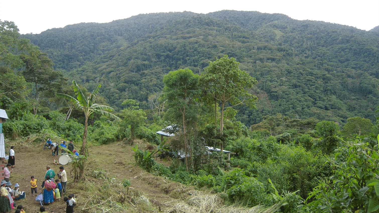 coopérative café Bolivie